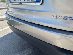 
										LEXUS NX-300 h F-SPORT full									