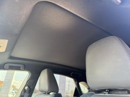 
										LEXUS NX-300 h F-SPORT full									