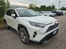 
										TOYOTA RAV-4 Benzinas/elektra Visureigis/krosoveris full									