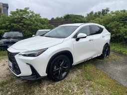 LEXUS NX-450 h+